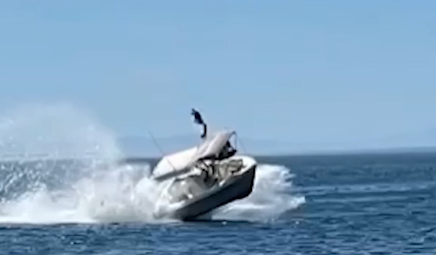 [VIDEO]: Lancha choca a gran velocidad con ballena y deja cinco heridos