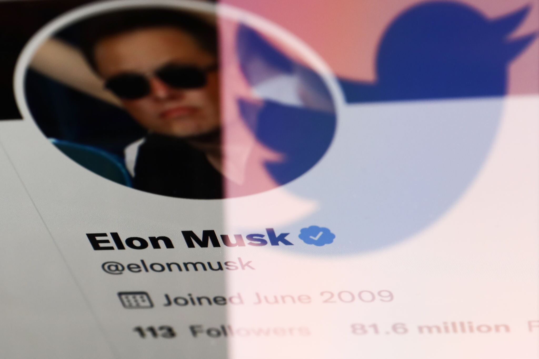 Elon llega a los 100 millones de seguidores en Twitter: cómo lo ha logrado
