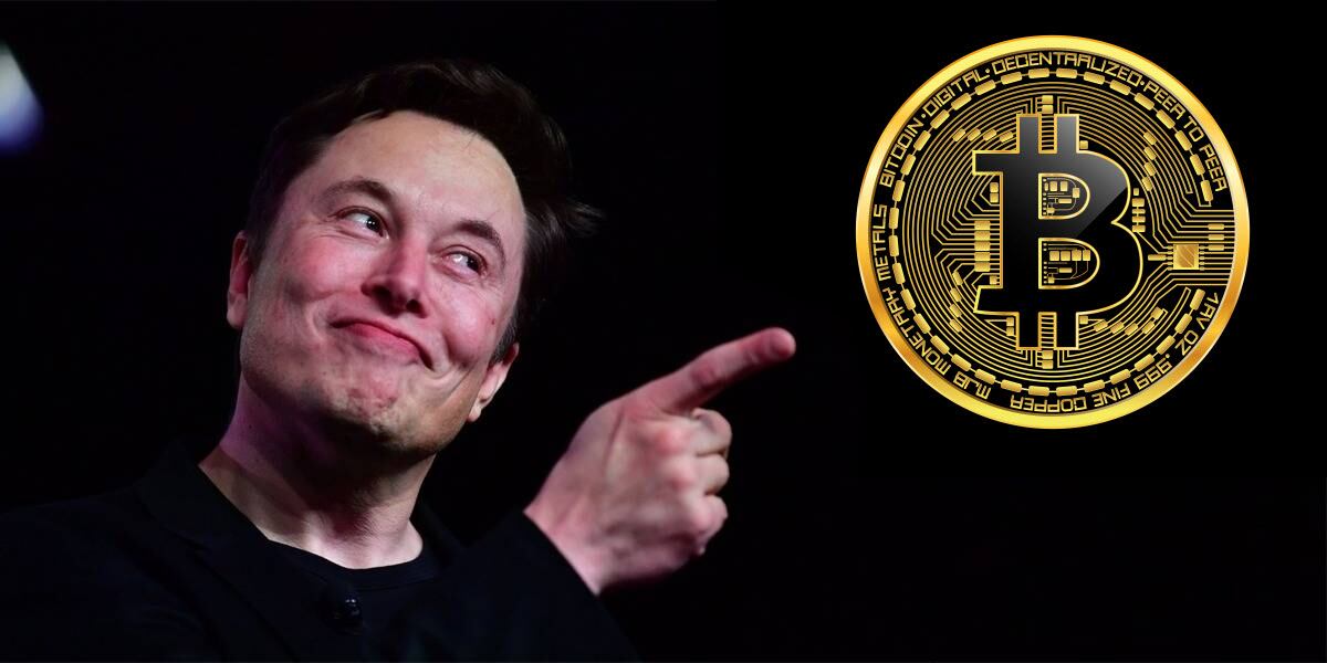 Elon Musk afirma que nunca dijo a la gente que debería invertir en criptomonedas pero su Twitter cuenta otra historia